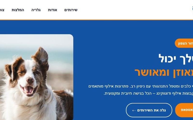 תצוגה מקדימה של דף גבריאל מדניק